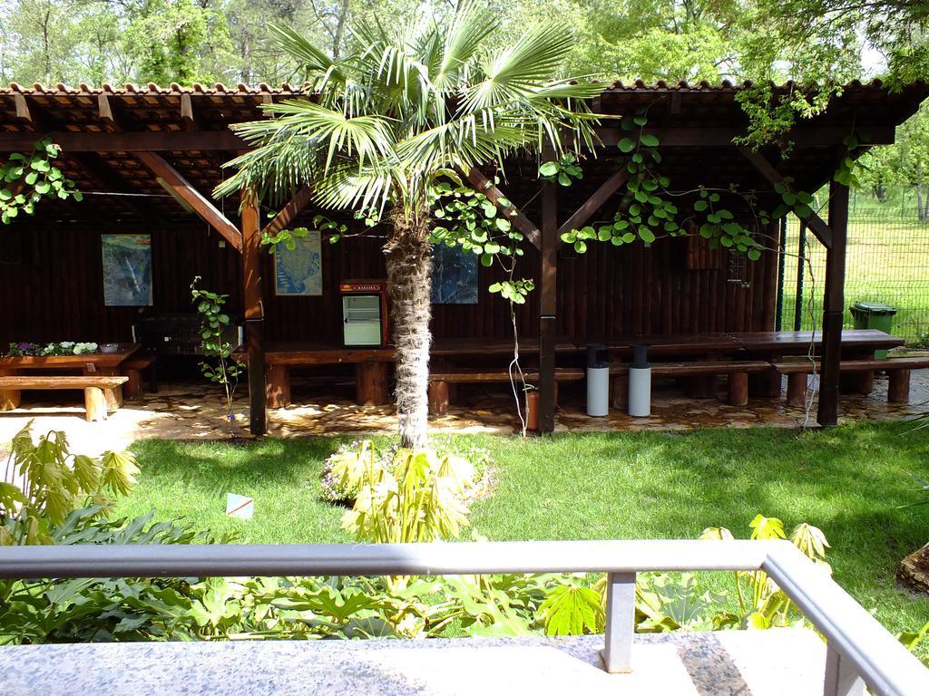 Aqua Family Apartments Karigador Rum bild
